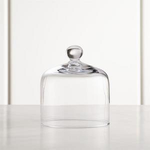 Large Glass Cloche