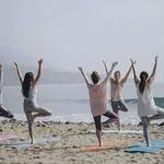 Fitness Classes