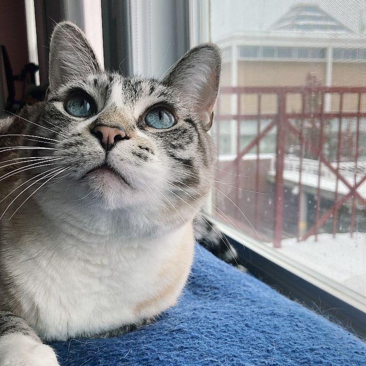 Our baby Lacie.