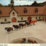 Budweiser Brewery Tours