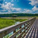 Huntington Beach State Park