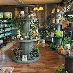 Forrest Farms