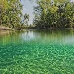 Wekiwa Springs State Park