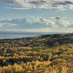 Hawk Ridge Bird Observatory