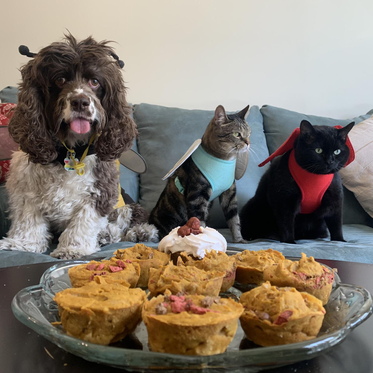 Our babies