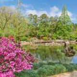 Birmingham Botanical Gardens