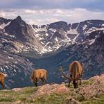 Rocky Mountain National Park