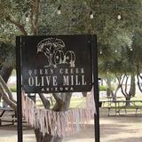 Queen Creek Olive Mill