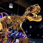 North Carolina Museum of Natural Sciences