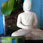 Blu Bamboo Salon & Day Spa