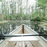 Cypress Gardens