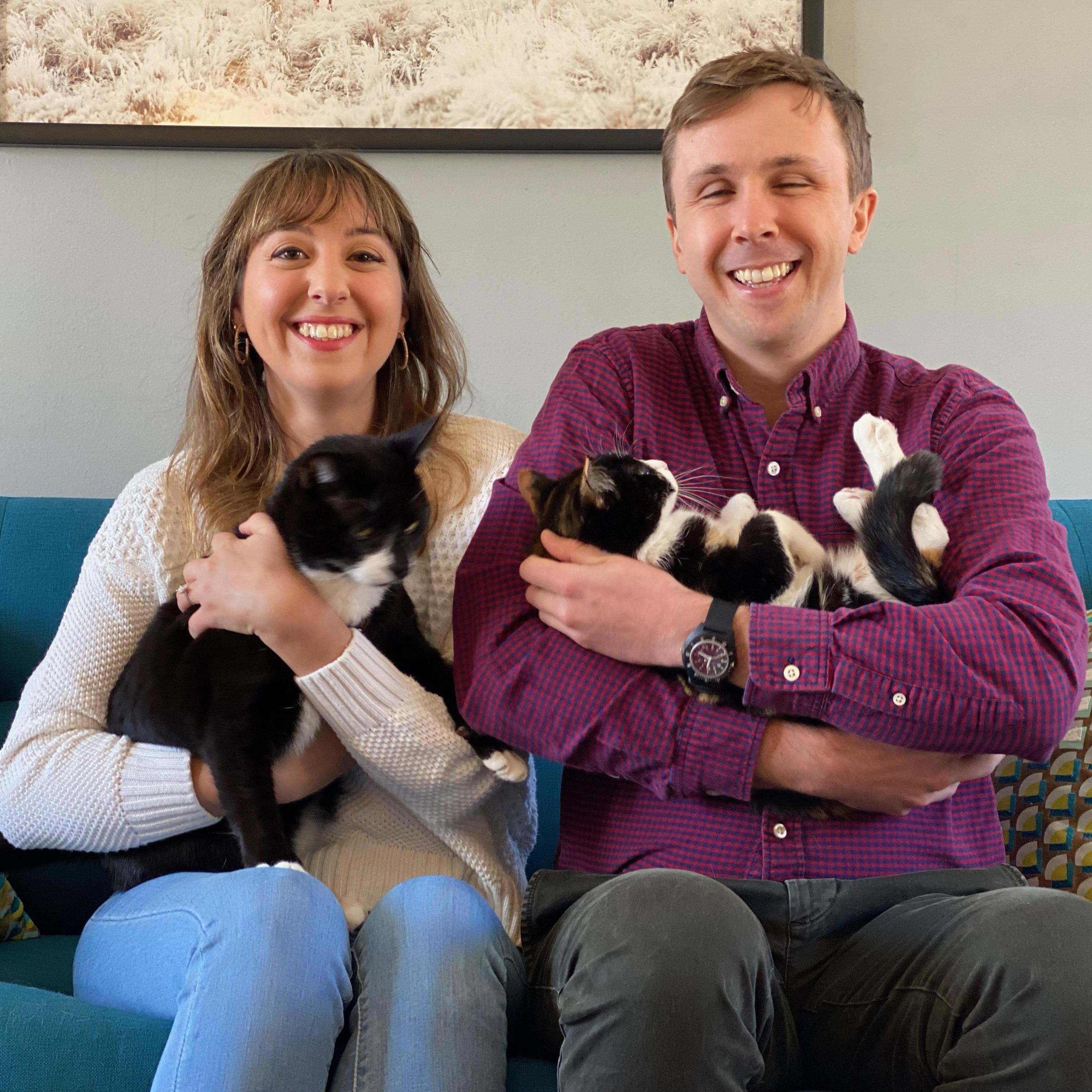 At home with our cats, 2020