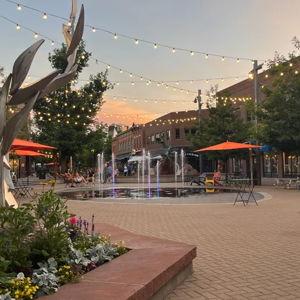 Downtown Fort Collins Gift Card - Buy us a date night!