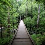 Eno River State Park