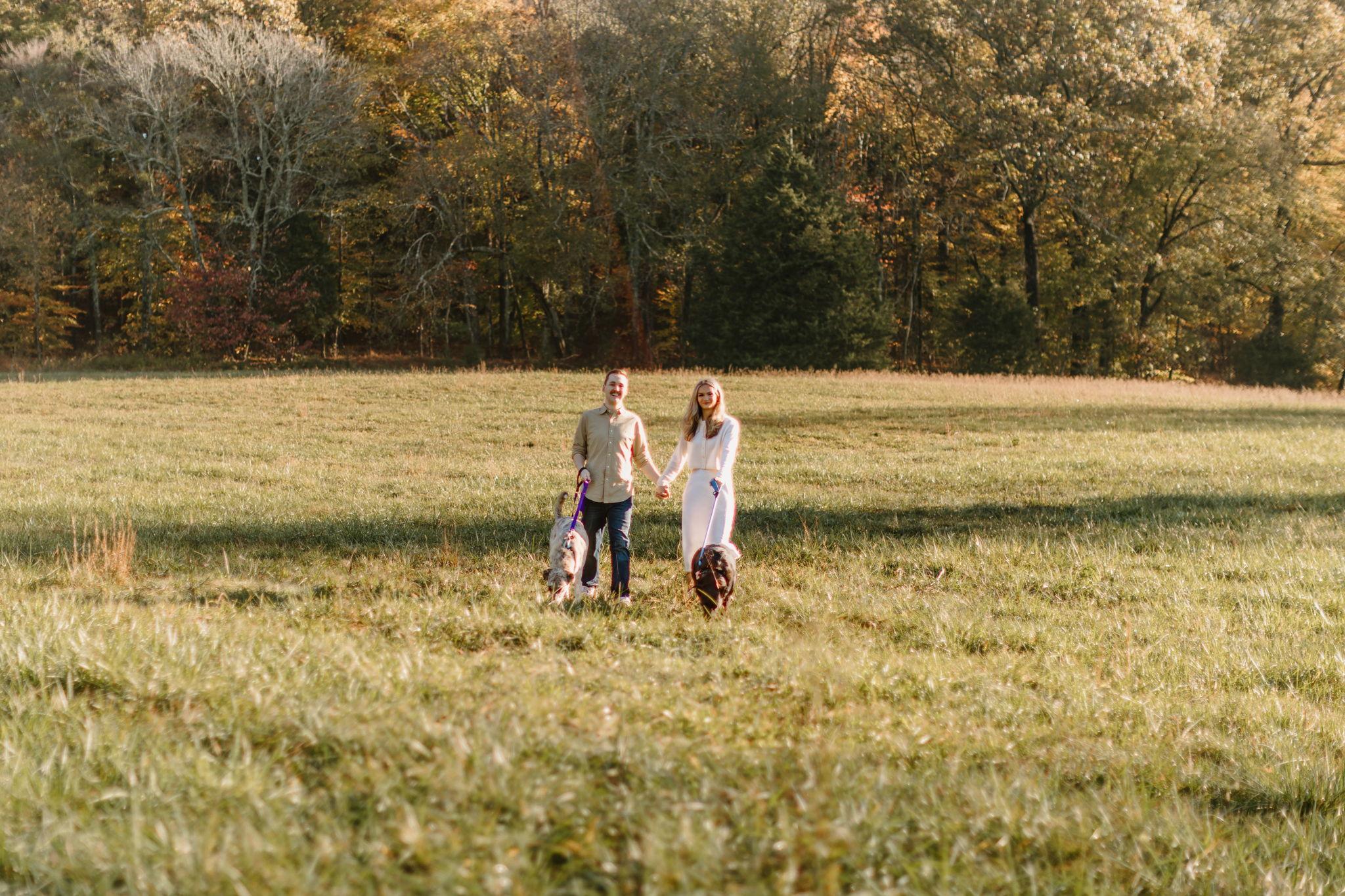 a3efd96b-c73d-4deb-983b-450defb397f9