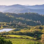HEALDSBURG