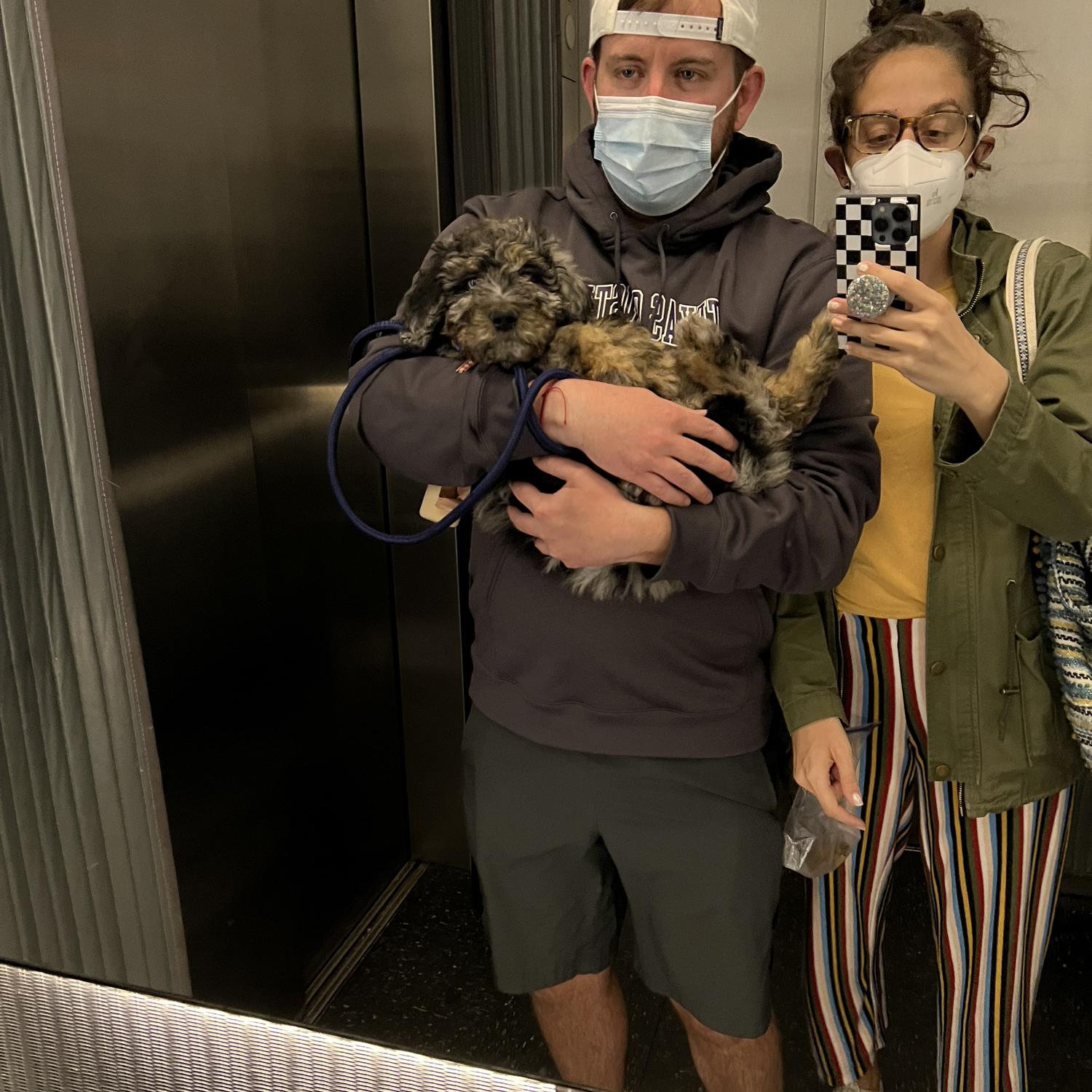 Bringing home our son, Moose!