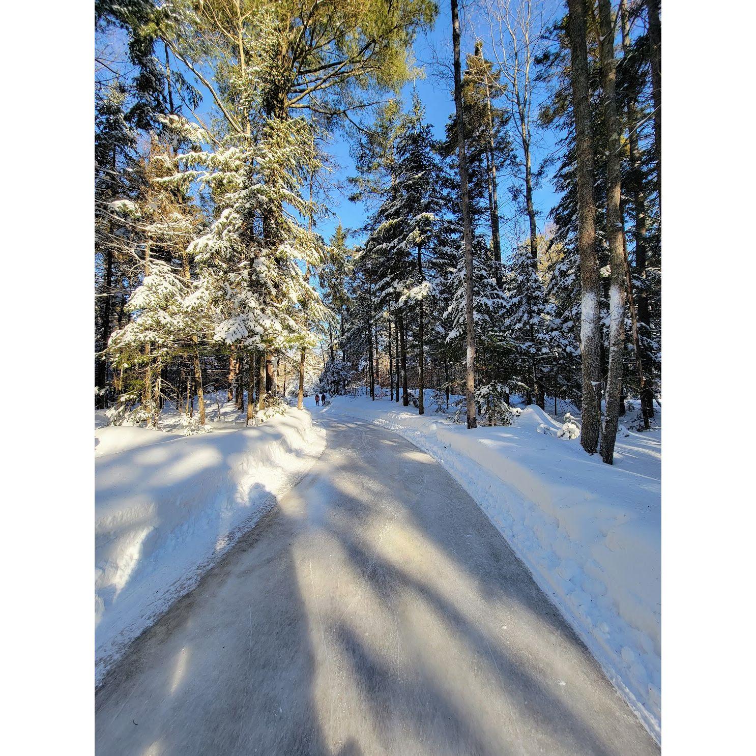 The skating trails James proposed on.