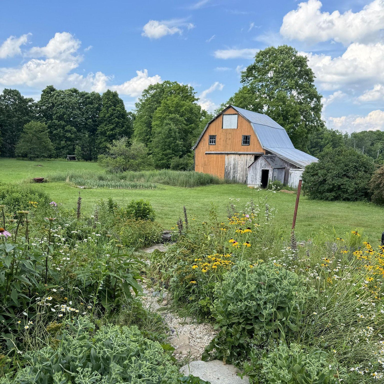 Who needs a venue when your backyard looks like this??