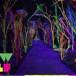 Meow Wolf Denver | Convergence Station