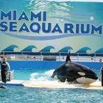 Miami Seaquarium