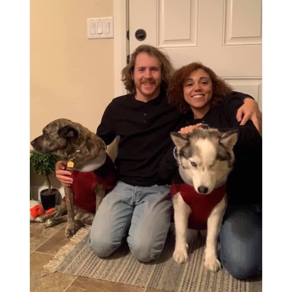 We are obsessed with our dogs.