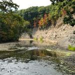 Rocky River Reservation
