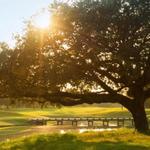 The Clubs at Houston Oaks