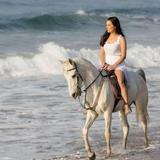 Cleland Equestrian Club