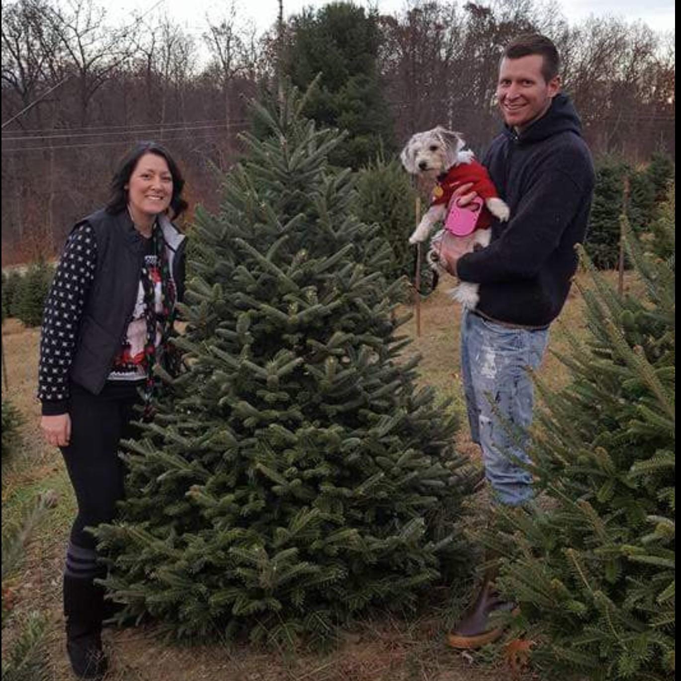 Christmas tree shopping 2016