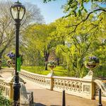 Central Park