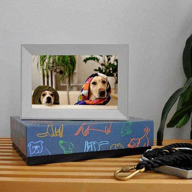 Aura Digital Picture Frame