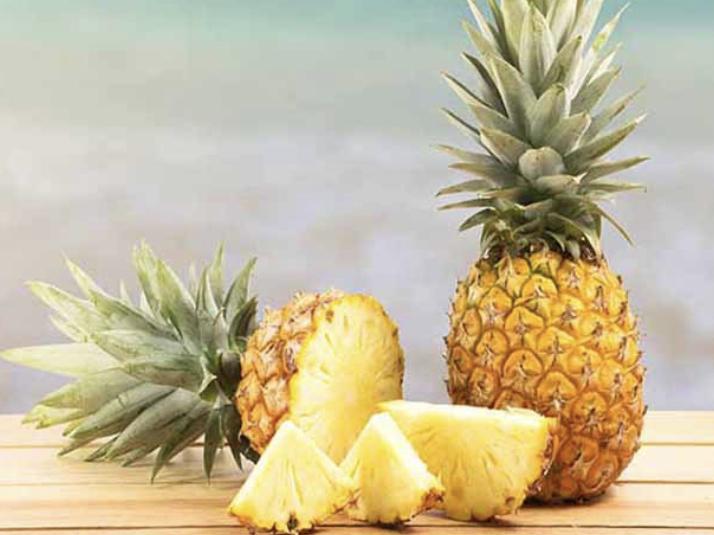 Dole Plantation Tours