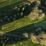 golfing