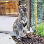 Santa Barbara Zoo