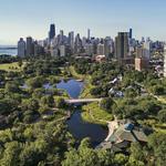 Lincoln Park
