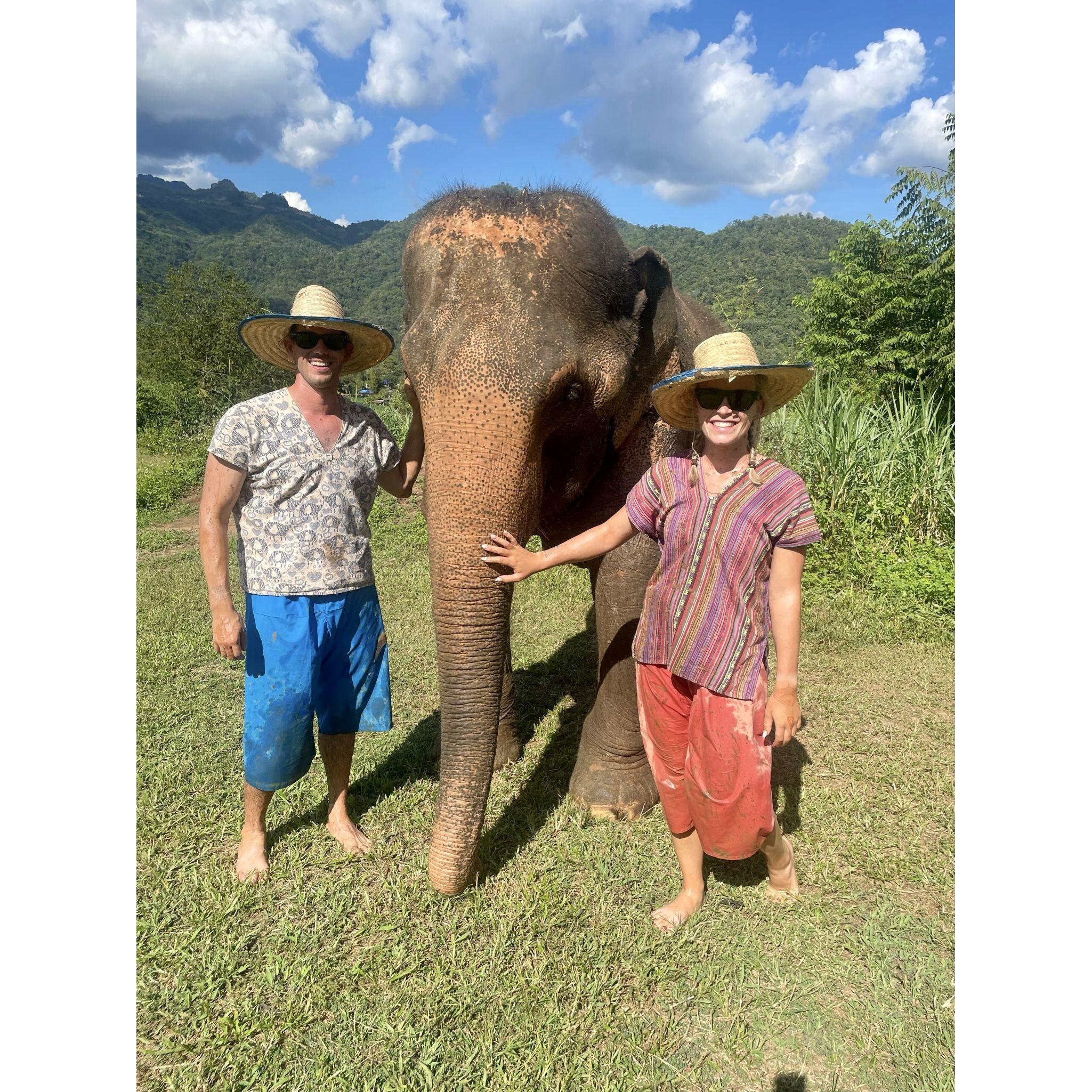 The time we met some friendly elephants in Thailand
