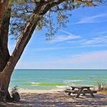 Delnor-Wiggins Pass State Park & Beach