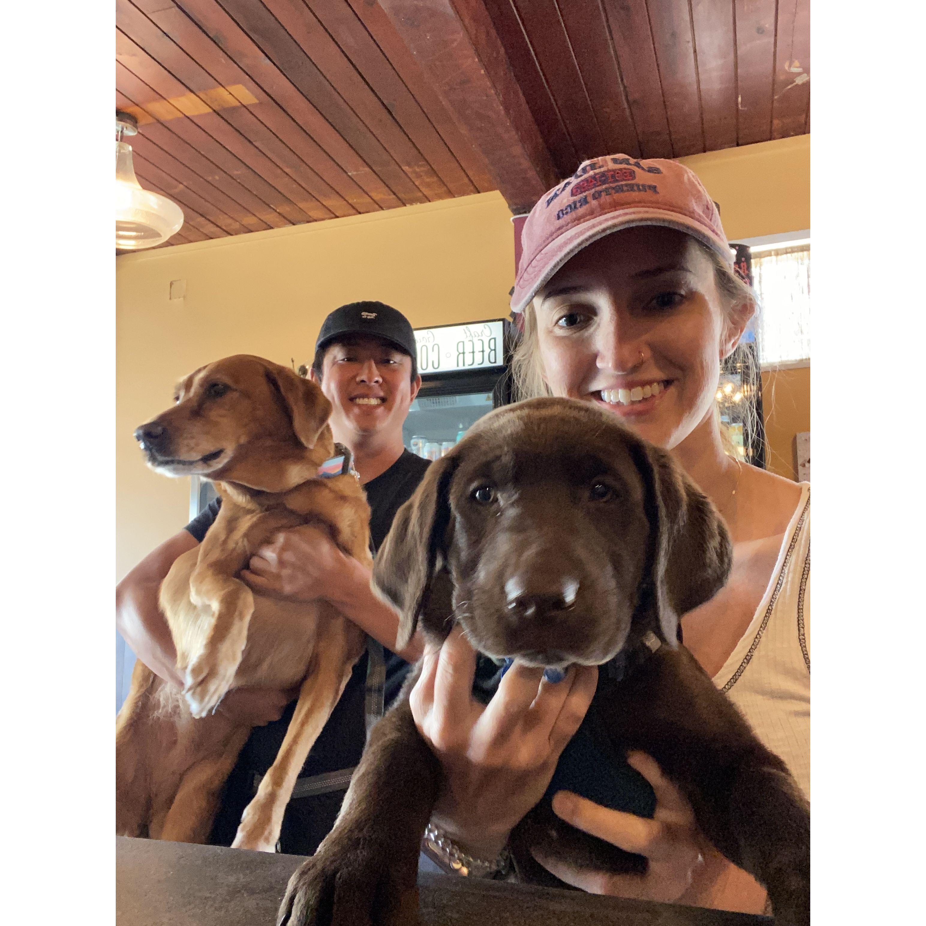 Our babies, Lucy (red) and Poppy (brown). We love traveling with them and taking them on adventures.