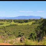 Santa Rosa Plateau Nature Education Foundation
