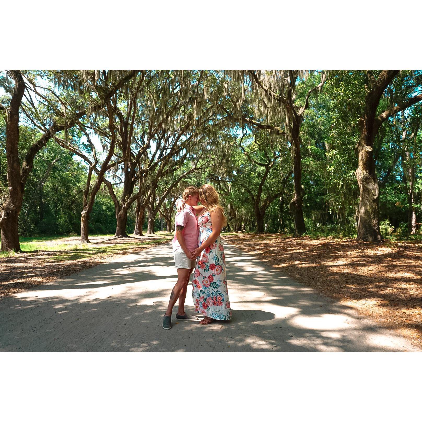 Wormsloe Historic Site while on a travel assignment in Savannah, GA