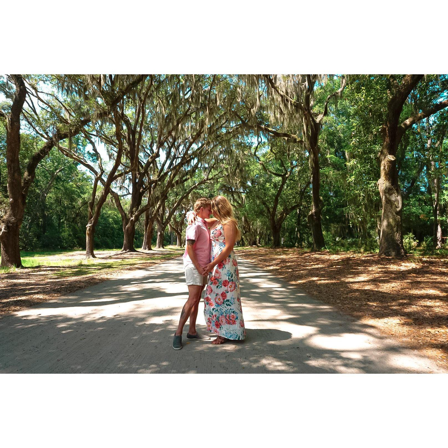 Wormsloe Historic Site while on a travel assignment in Savannah, GA