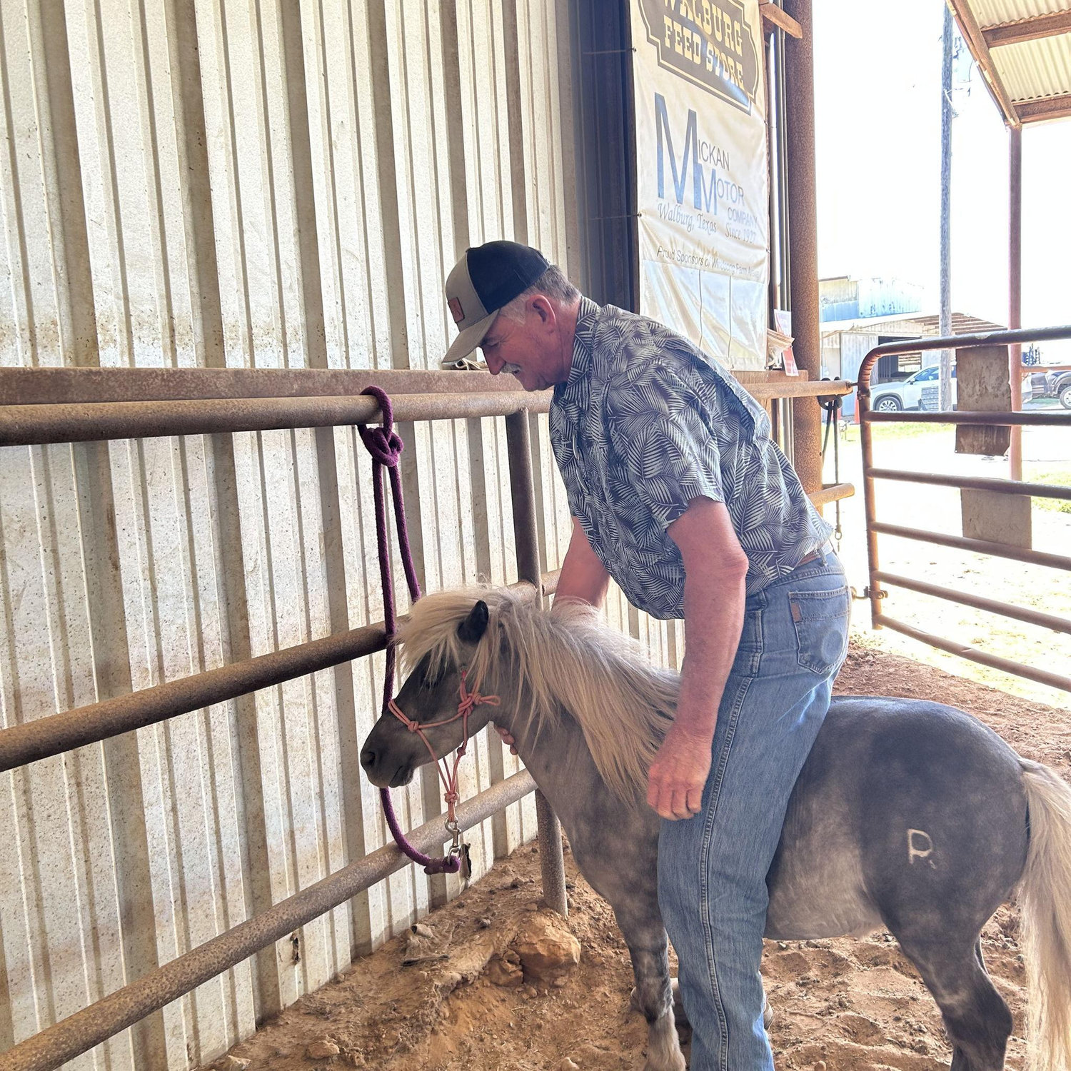Kenny's new heel horse