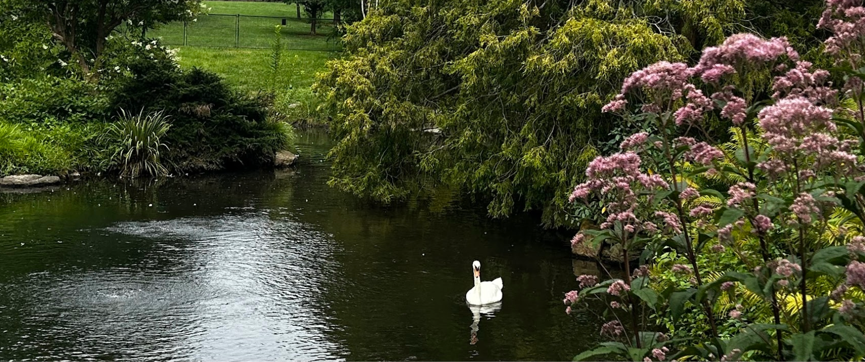 The Wedding Website of Caroline Gibson and Alex Hatoff