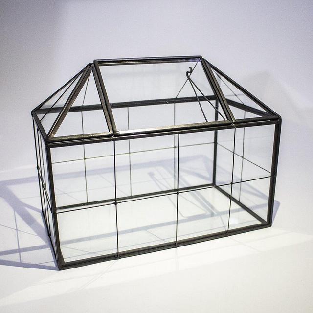 Audryana Container Wardian Case Indoor Succulent Planter Terrarium