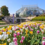 Phipps Conservatory and Botanical Gardens