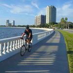 Bayshore Boulevard