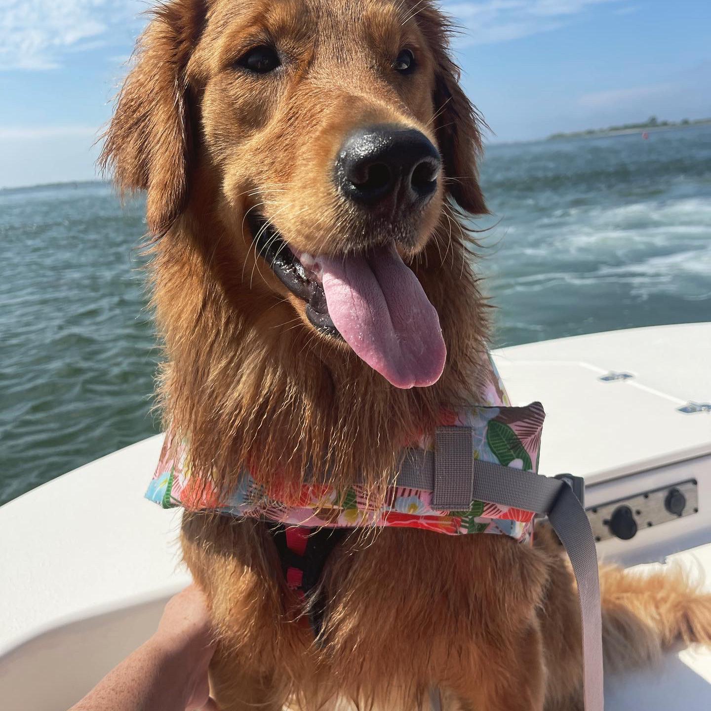 Can’t forget about our fur baby!