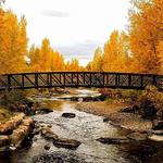 Walk or Bike the Yampa River Path