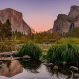 Yosemite National Park
